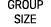 GROUP SIZE