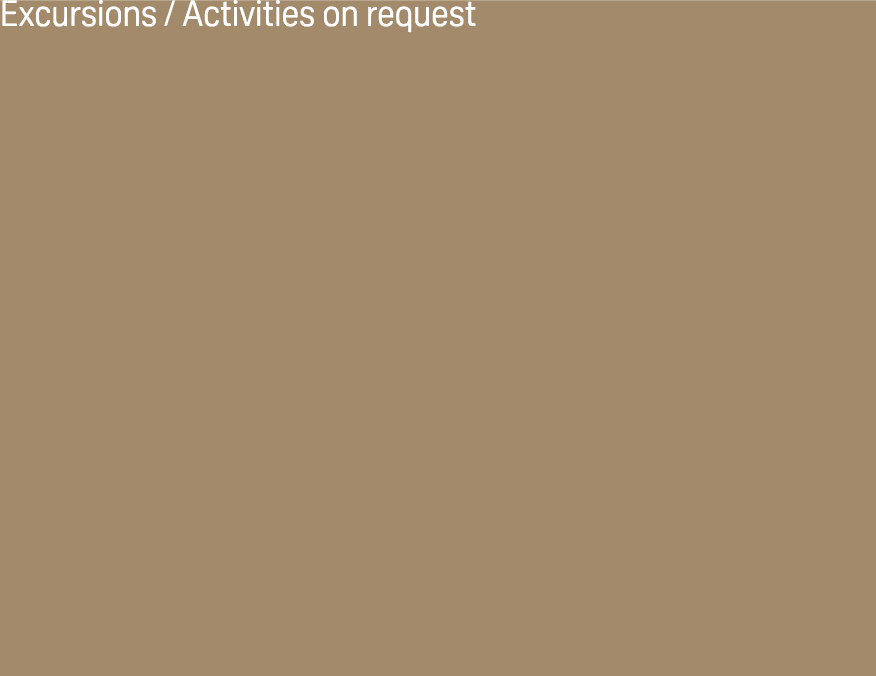 Excursions / Activities on request 
