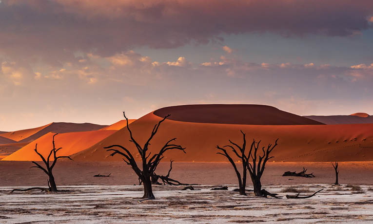 A desert landscape with a few trees and a dried up river bed. Description generated by AI