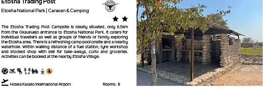 A tree is in front of a building. AI generated content
