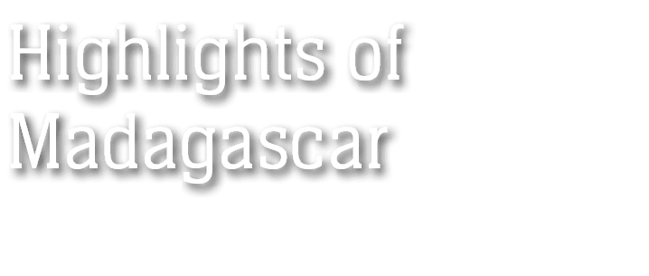 Highlights of Madagascar 