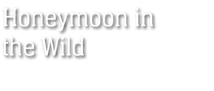 Honeymoon in the Wild