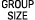 GROUP SIZE