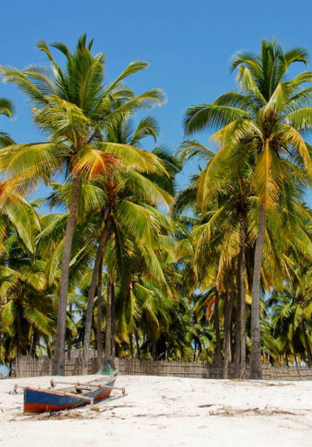 Pangane Beach, Mozambique