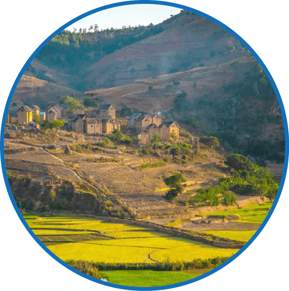 Fianarantsoa, Madagascar, 22 october 2023. rice terrasses fields in Madagascar in early spring. Small light green shoots on irregularly shaped stepped areas. Clay houses of Malagasy