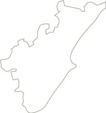Polygon