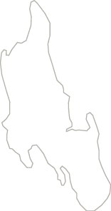 Polygon