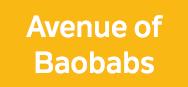 Avenue of Baobabs
