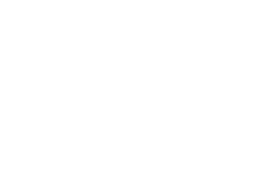 All international / domestic flights Visas Travel and personal accident insurance Personal expenses Meals not include...