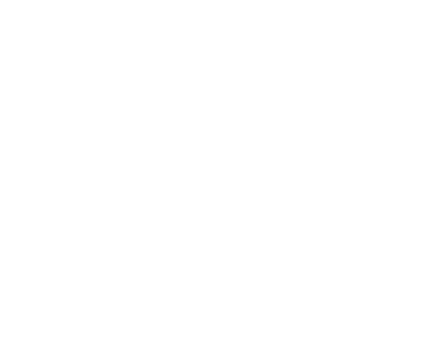 All international / domestic flights Visas Travel and personal accident insurance Personal expenses Meals not include...