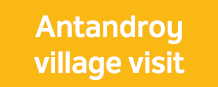 Antandroy village visit 