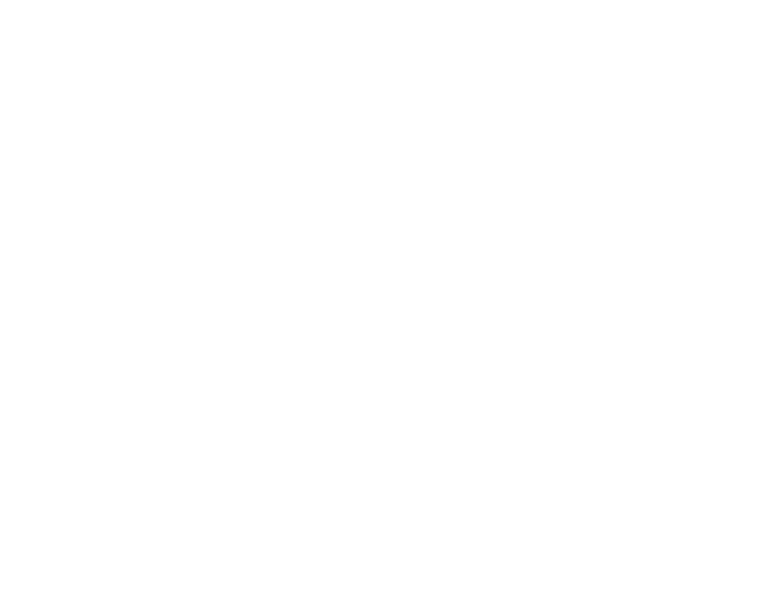 All international / domestic flights Visas Travel and personal accident insurance Personal expenses Meals not include...