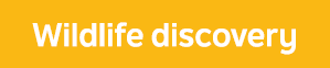 Wildlife discovery