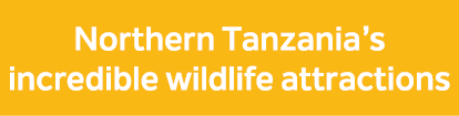 Northern Tanzania’s incredible wildlife attractions