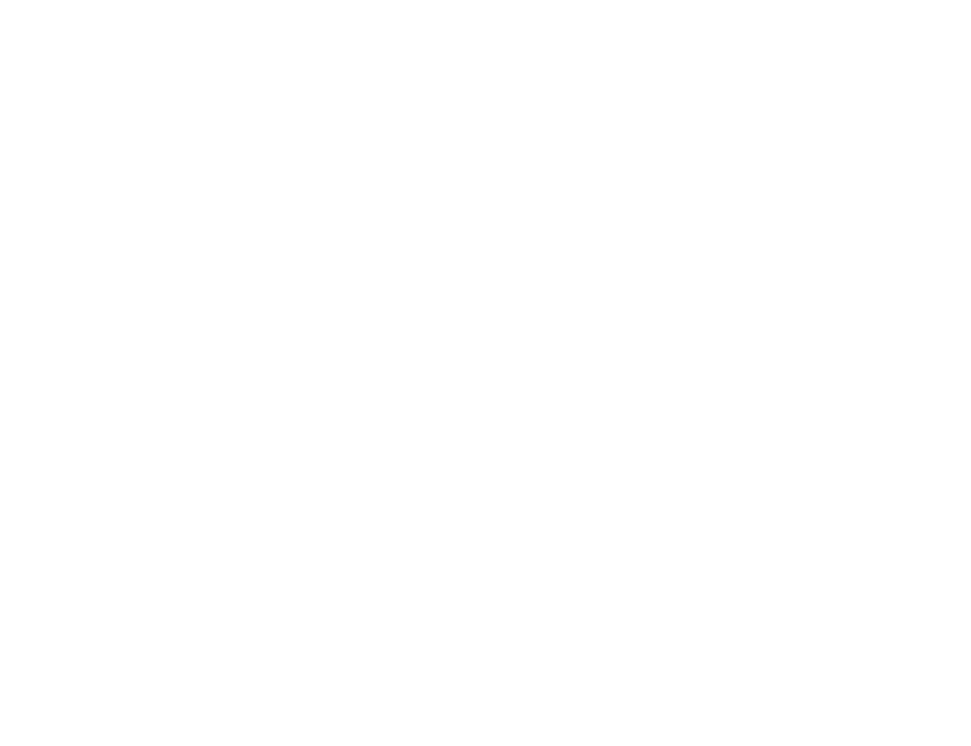 All international / domestic flights Visas Travel and personal accident insurance Personal expenses Meals not include...