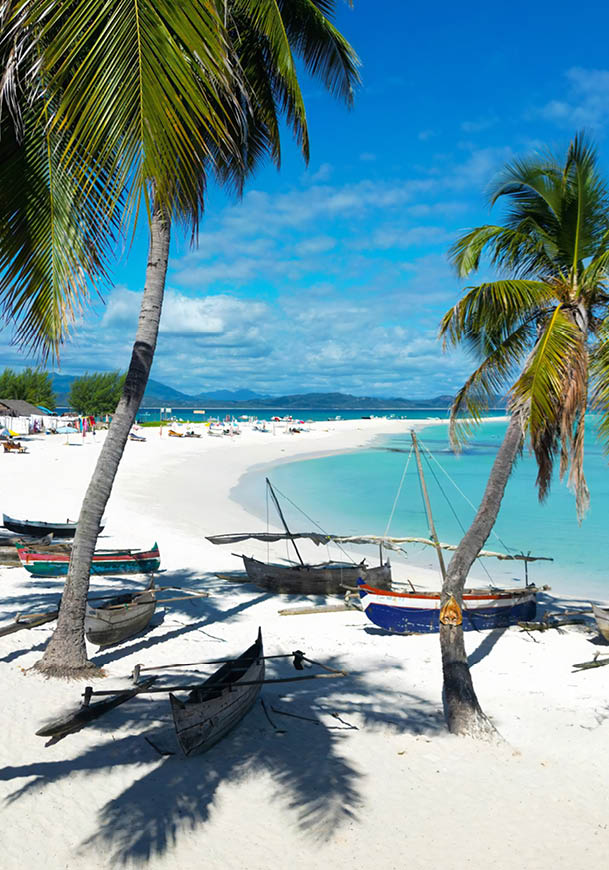 A beach scene with palm trees and boats. Description generated by AI
