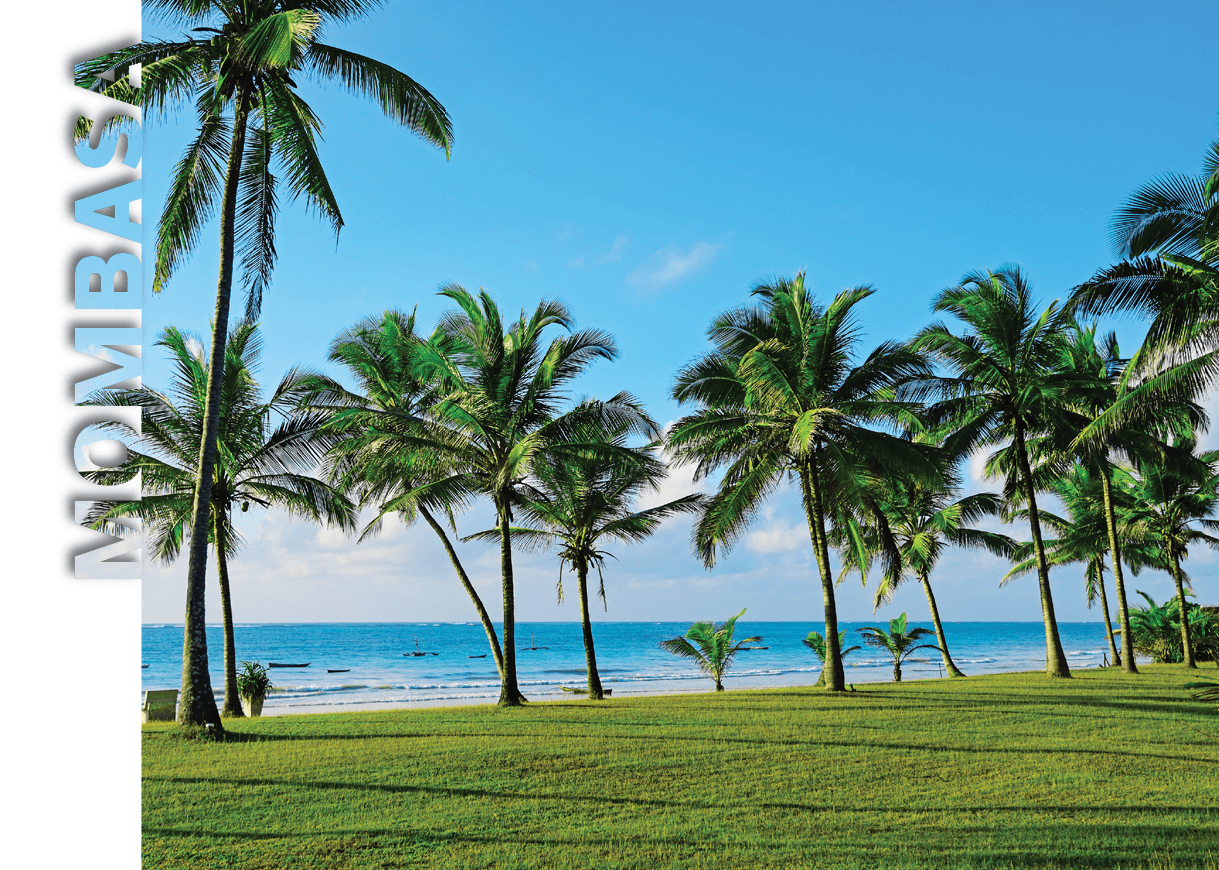 A beautiful beach scene with palm trees and blue ocean. Description generated by AI
