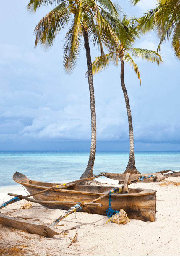 A boat is on the beach. Description generated by AI