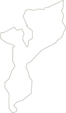 Polygon
