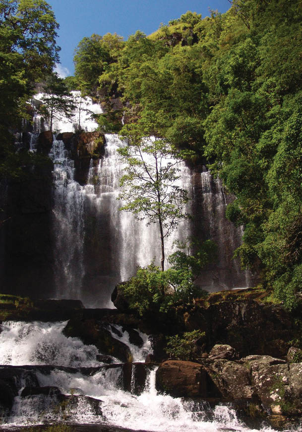 A waterfall with a tree in front of it. Description generated by AI