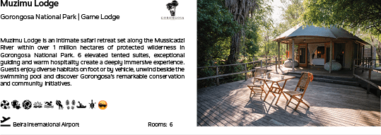 A wooden deck with two chairs on it. Description generated by AI