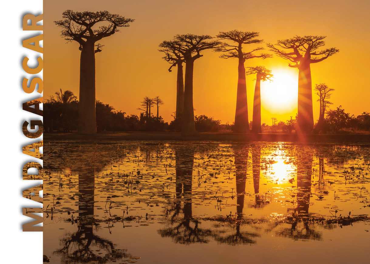 A sunset over a body of water with trees in the background. Description generated by AI