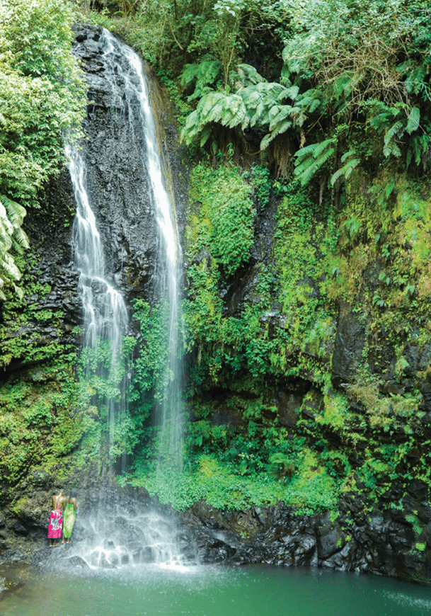A waterfall in a forest. Description generated by AI