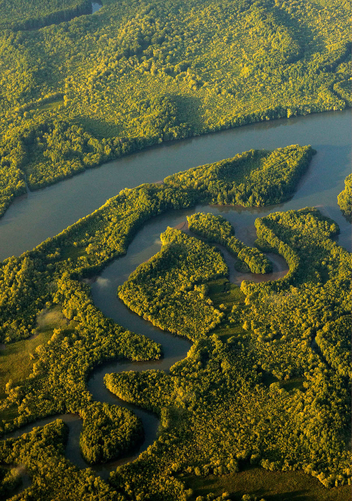 River in tropic Costa Rica, Corcovado NP. Lakes and rivers, view from airplane. Green grass in Central America. Trees with water in rainy season. Photo from air.