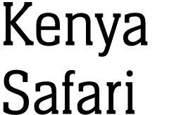 Kenya Safari