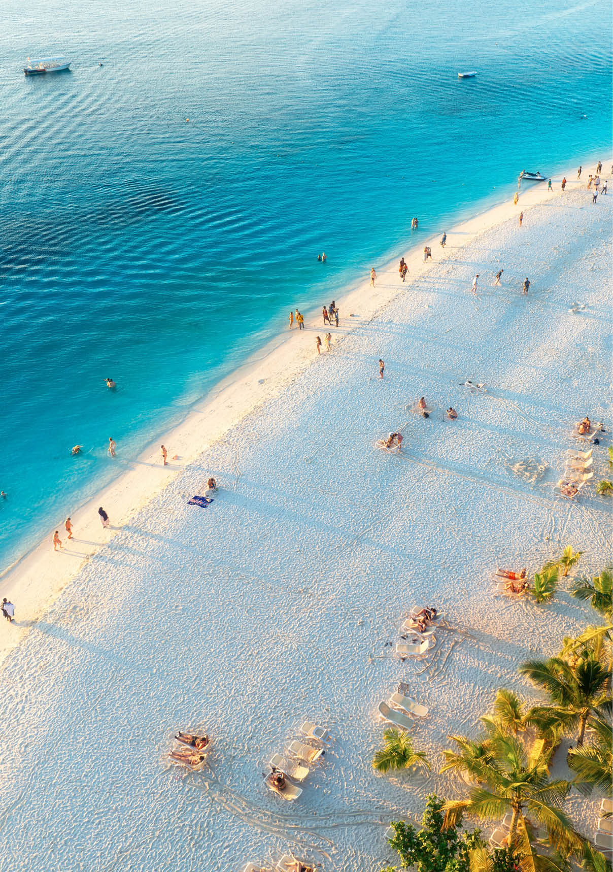 Aerial view of green palm trees, umbrellas on the sandy beach of Indian Ocean at sunset. Summer holiday in Kendwa, Zanzibar island. Tropical landscape with palms, white sand, clear blue sea. Top view