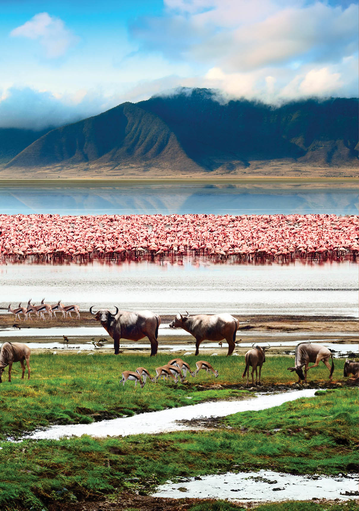 The African wildlife. Beautiful view of Lake in Ngorongoro Crater, Tanzania.