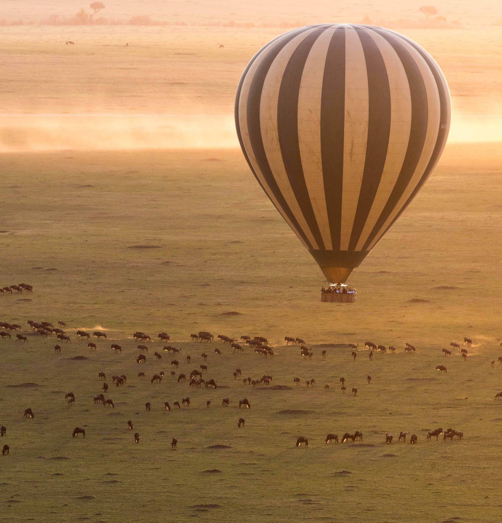 hot air ballon ride in Masai Mara