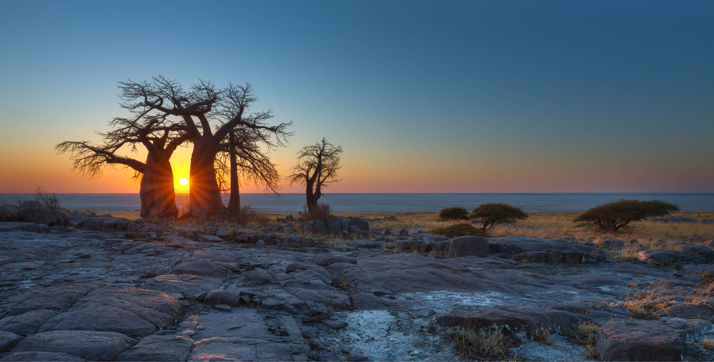 Sunrise at the Baobabs, Kubu Island, Botswana