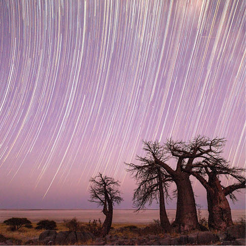Startrail at Kubu Island, Botswana
