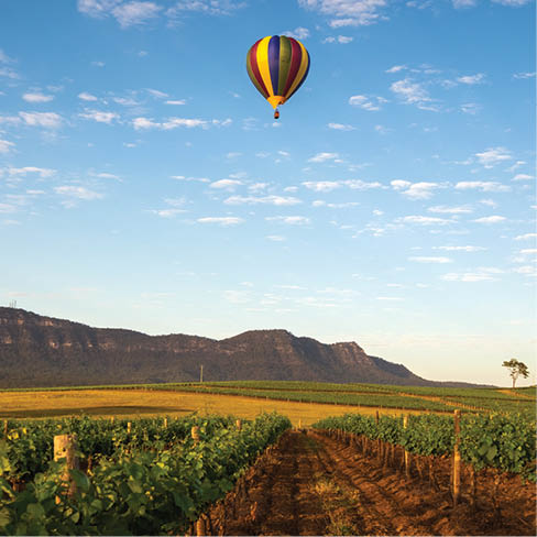 Annual hot air balloon festival. The balloons are inflated at dawn and float over the Hunter Valley wine country.