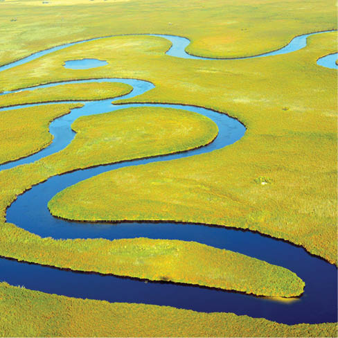 June 2017. Delta del Okavango, the most beautiful delta in the world.