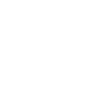 Comprehensive Experiences Portfolio