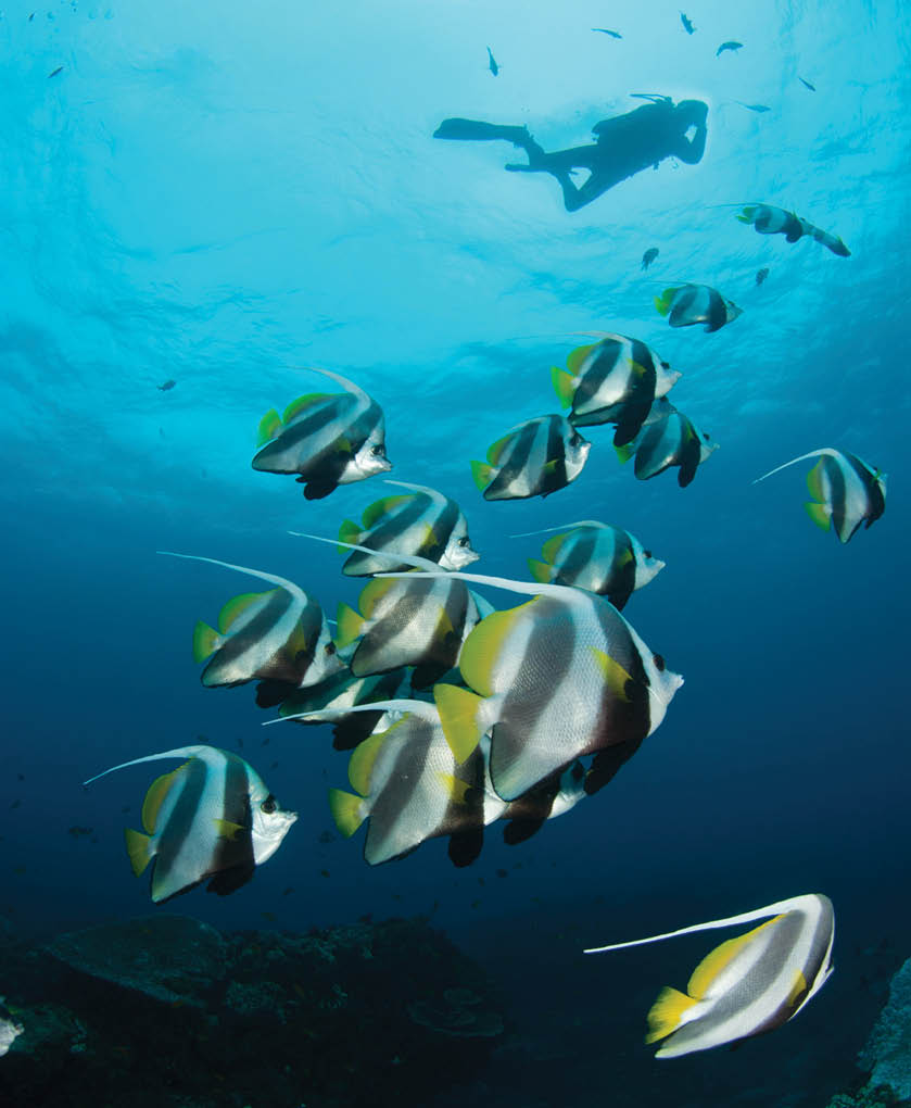 Sodwana Bay Dive Spots