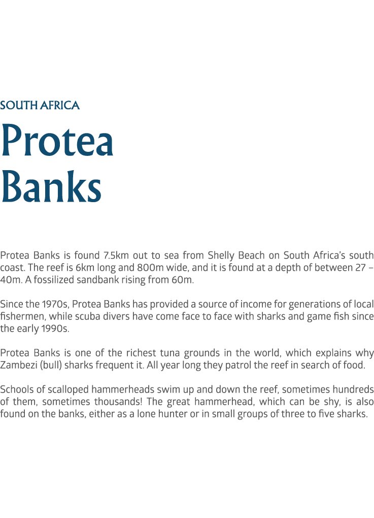 south africa Protea Banks Protea Banks is found 7.5km out to sea from Shelly Beach on South Africa’s south coast. The...