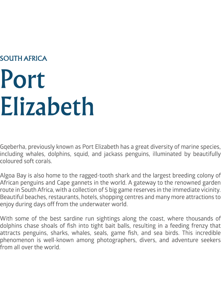 south africa Port Elizabeth Gqeberha, previously known as Port Elizabeth has a great diversity of marine species, inc...