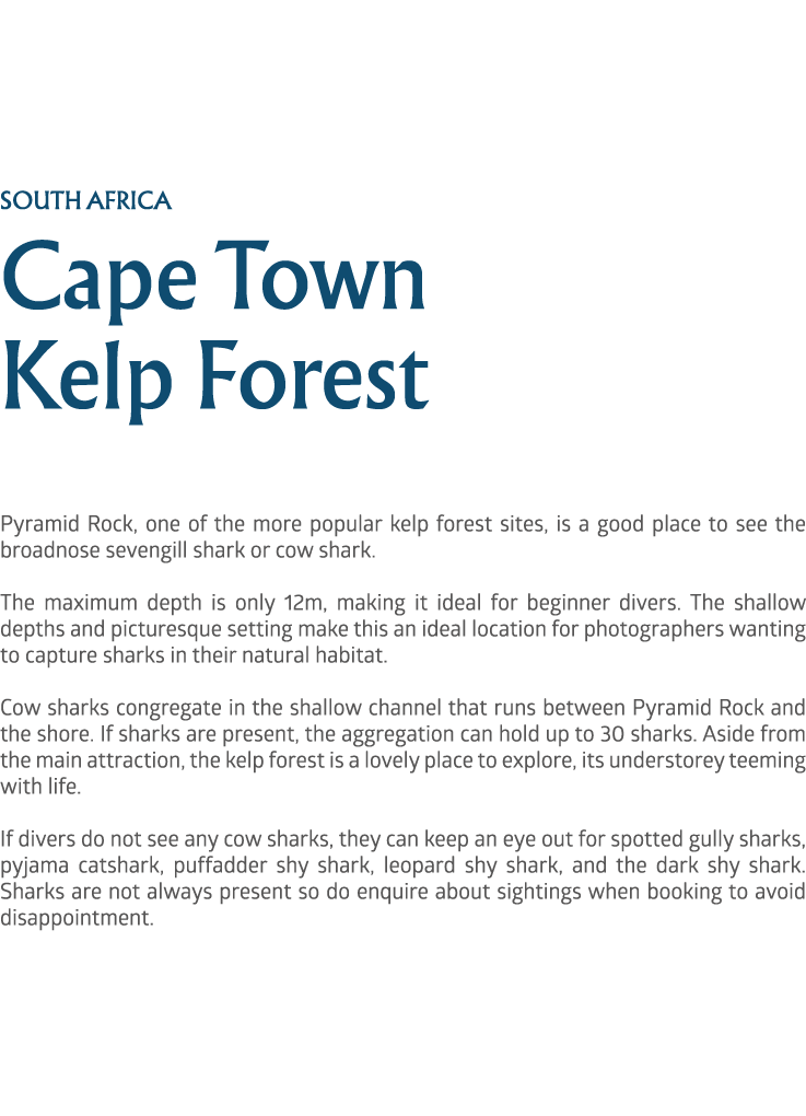 south africa Cape Town Kelp Forest Pyramid Rock, one of the more popular kelp forest sites, is a good place to see th...