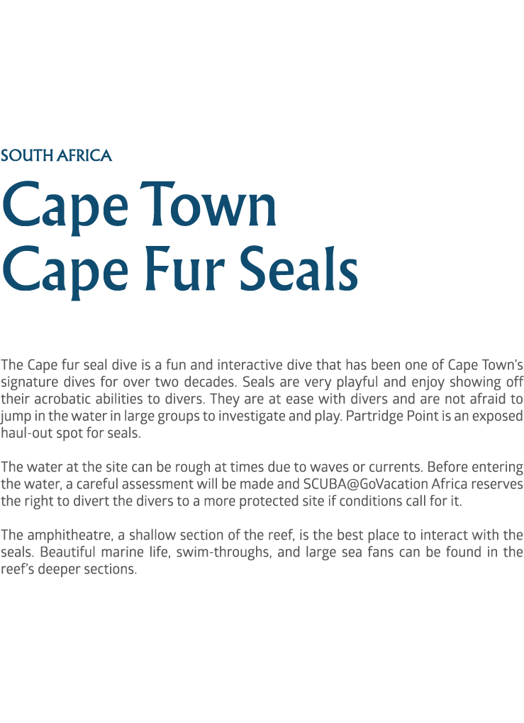 south africa Cape Town Cape Fur Seals The Cape fur seal dive is a fun and interactive dive that has been one of Cape ...