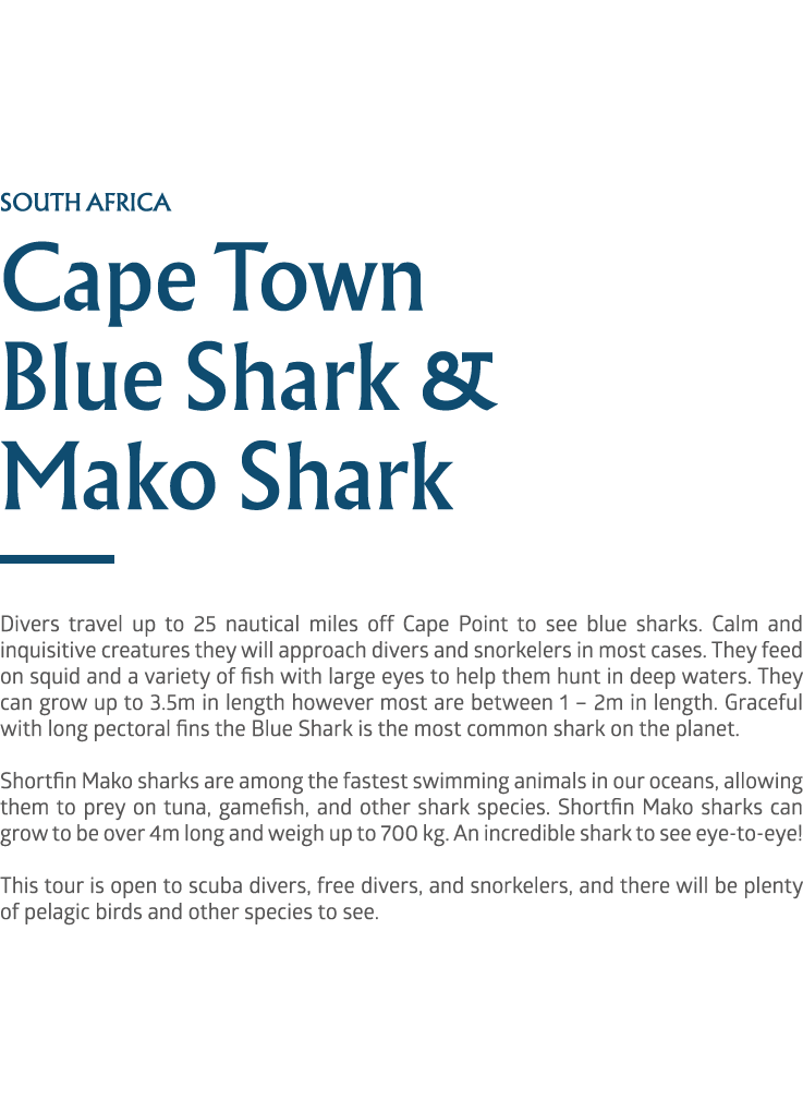 south africa Cape Town Blue Shark & Mako Shark ￼ Divers travel up to 25 nautical miles off Cape Point to see blue sha...