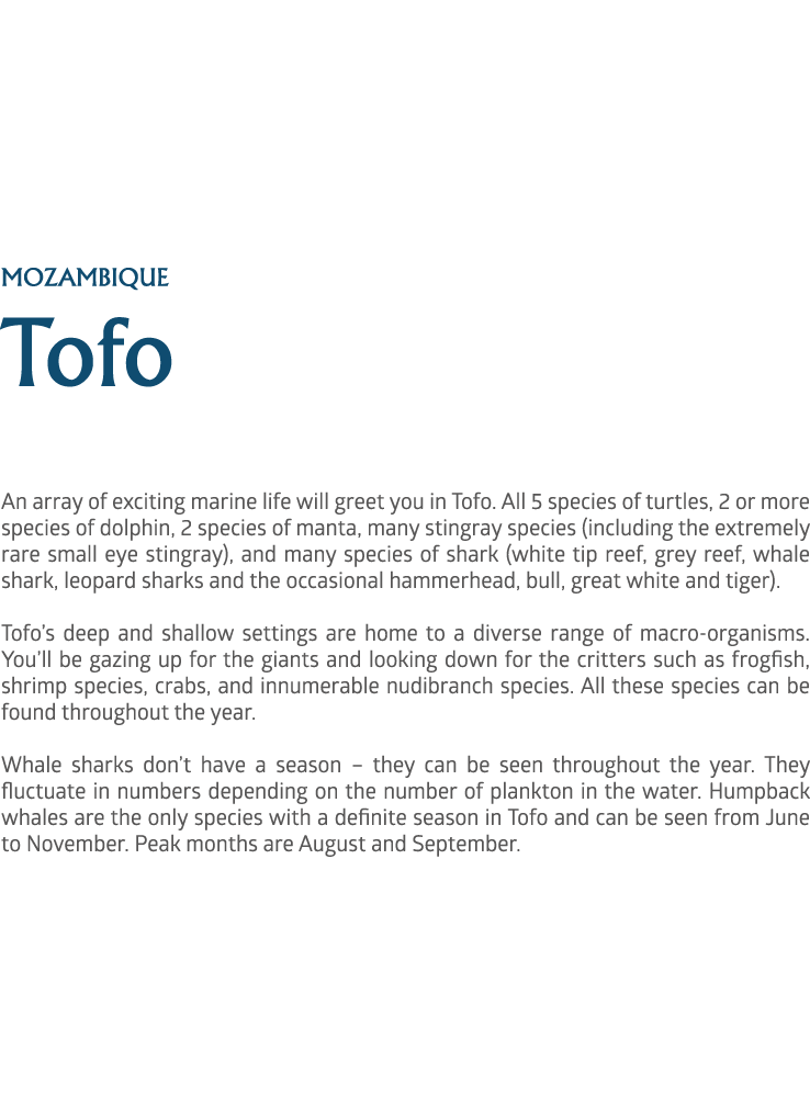 mozambique Tofo An array of exciting marine life will greet you in Tofo. All 5 species of turtles, 2 or more species ...