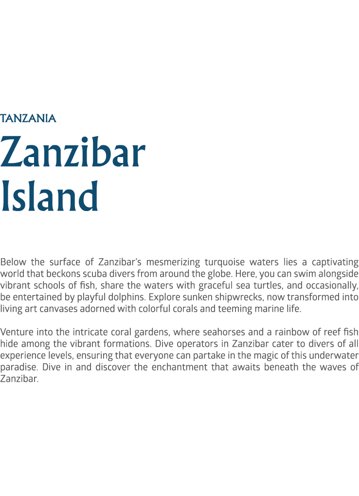 tanzania Zanzibar Island Below the surface of Zanzibar’s mesmerizing turquoise waters lies a captivating world that b...