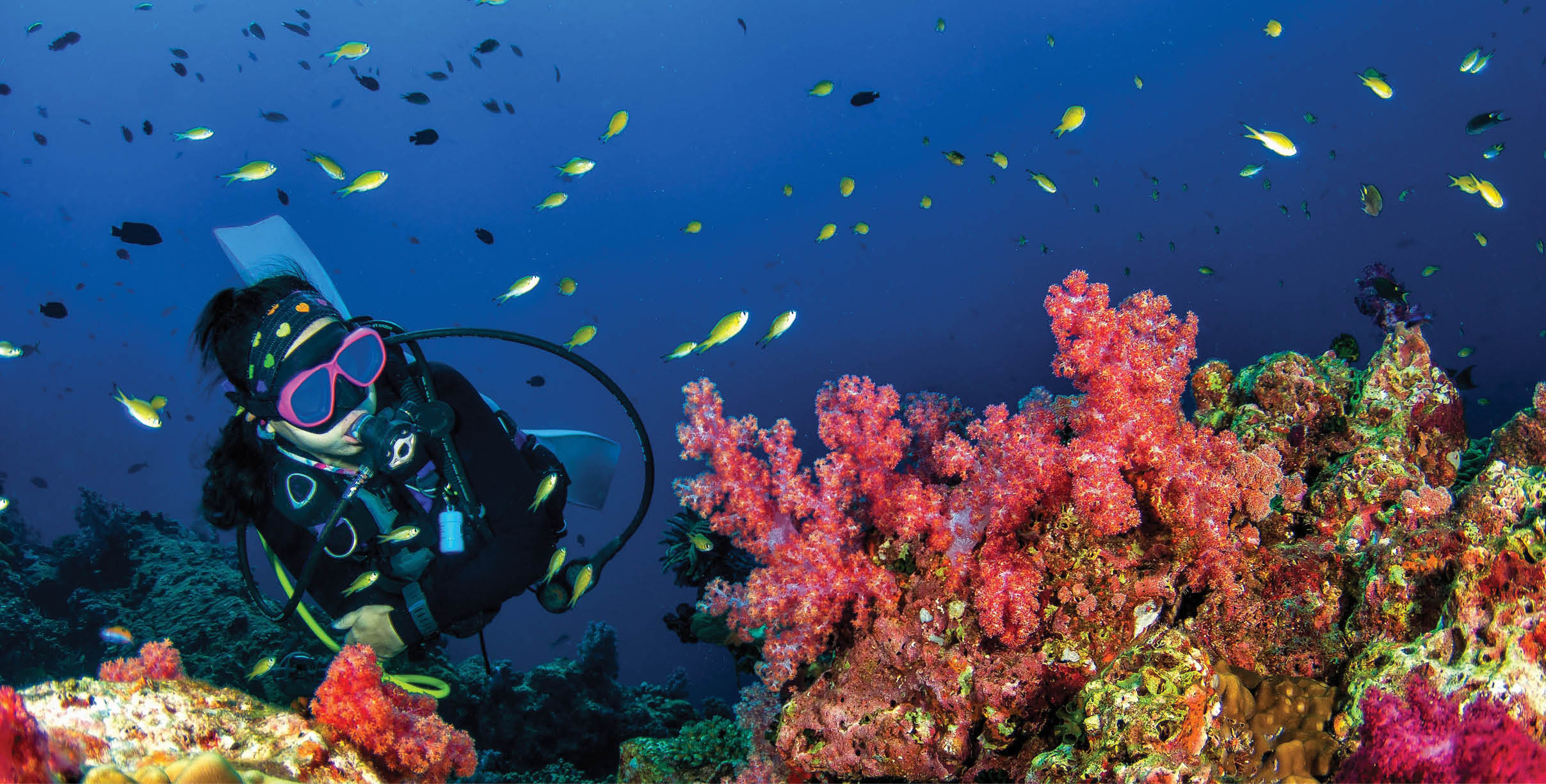 Young woman scuba diving on a beautiful soft coral reef in South Andaman, Thailand