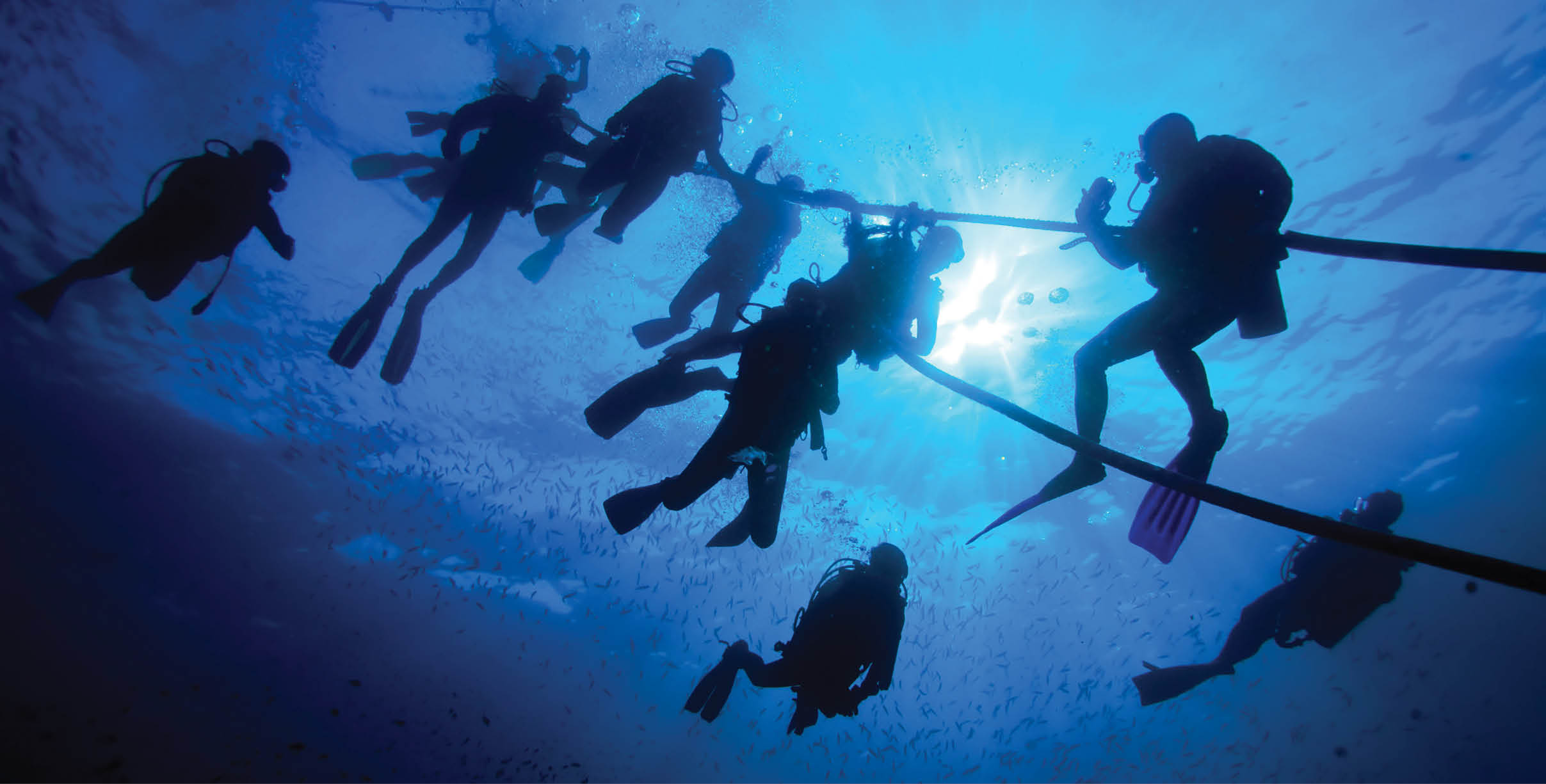 A group of diver doing safety stop near sea surface