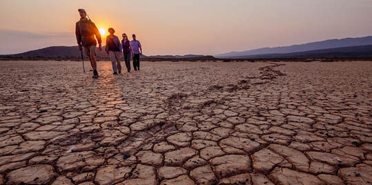 Sanbona Wildlife Reserve. Barrydale. Western Cape. South Africa