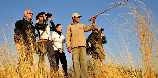 Buschmann-Guide der !Xaus Lodge erkl rt Touristen auf einer Fu wanderung die Natur der Kalahari, Kgalagadi Transfrontier Park, S dafrika, Afrika