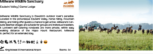 A group of horses in a field. Description generated by AI